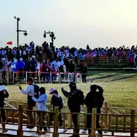 2025年的暑假，报团旅行，落伍了？