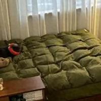 只换床单、枕套，不做这件事，你的床永远是脏的！