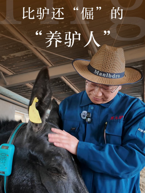 比驴还“倔”的“养驴人”