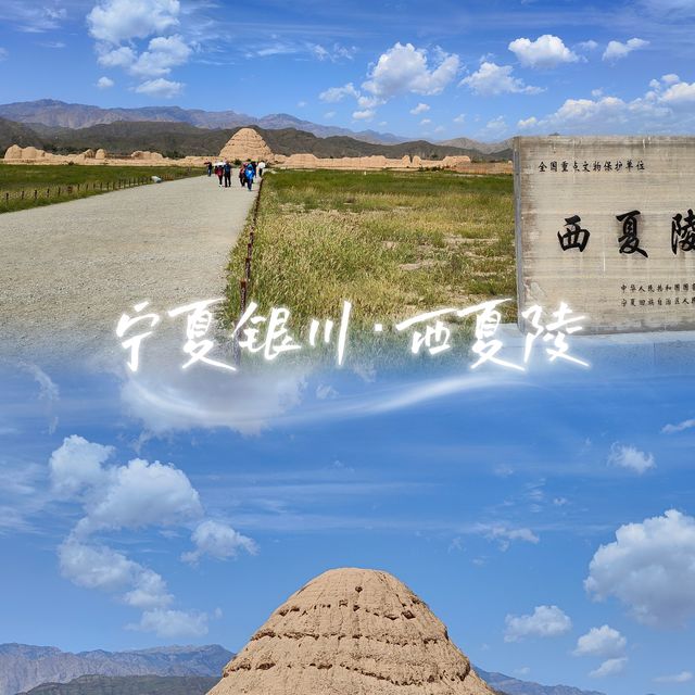 2025暑假必冲！世遗·宁夏西夏陵，看见贺兰