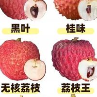 19种常见荔枝品种上市时间
