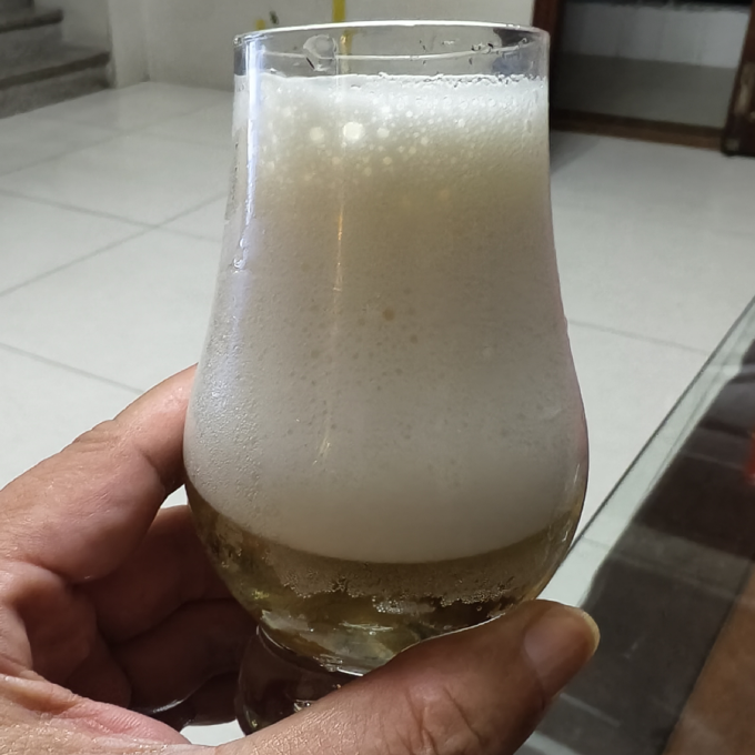青岛啤酒啤酒