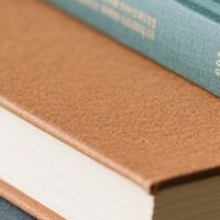 夏日书单：清凉与哲思