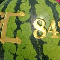 夏日炎炎好吃水果，盘点一下当季水果