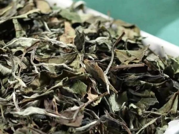 福鼎白茶：寿眉真的是最差的茶吗？