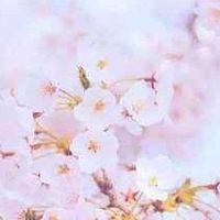 如何用六神双璧守护夏夜？