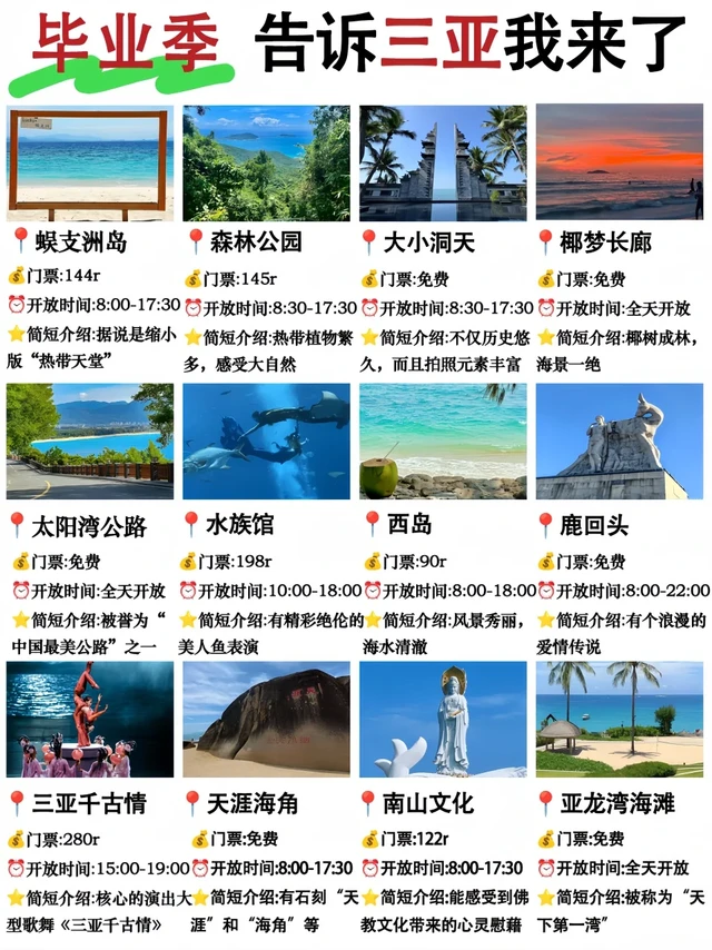 毕业季逃离计划！三亚承包我的青春末班车🎓