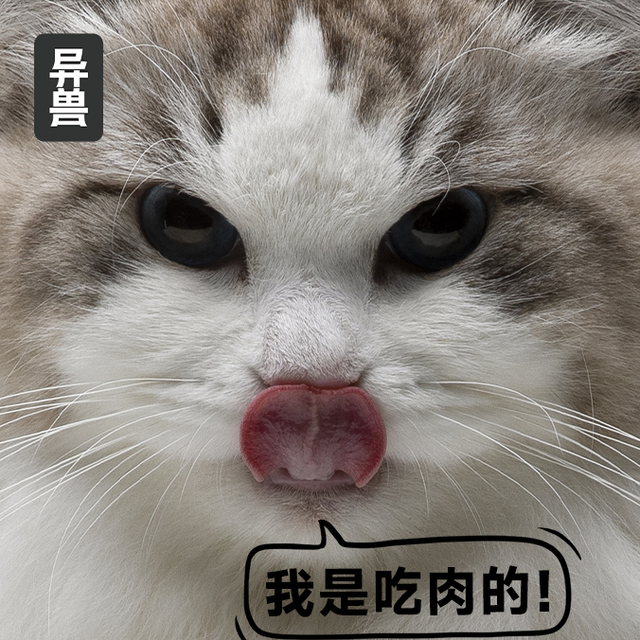 破壁高蛋白迷思：为何≥50%粗蛋白才是猫咪进阶成长的关键？
