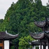 有一说二 篇零：盛夏漫步苏堤，7月份邂逅杭州西湖的独特美景