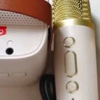塔努啦（TANALAZ）话筒音箱一体麦克风无线蓝牙全民唱k歌儿童卡拉