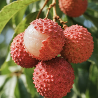 吃荔枝看荔枝，“荔枝热”席卷今夏｜世研消费指数热点榜