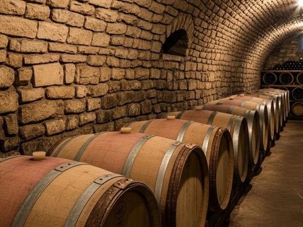 【智利周最终章】一篇封神！最强智利葡萄酒选购指南 (看完你就是半个专家)