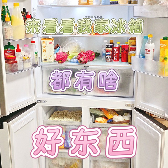 来看看我家冰箱都有啥好东西