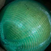 京觅福建翡翠柚+泰国椰子：自然清甜CP，解锁夏日双倍快乐