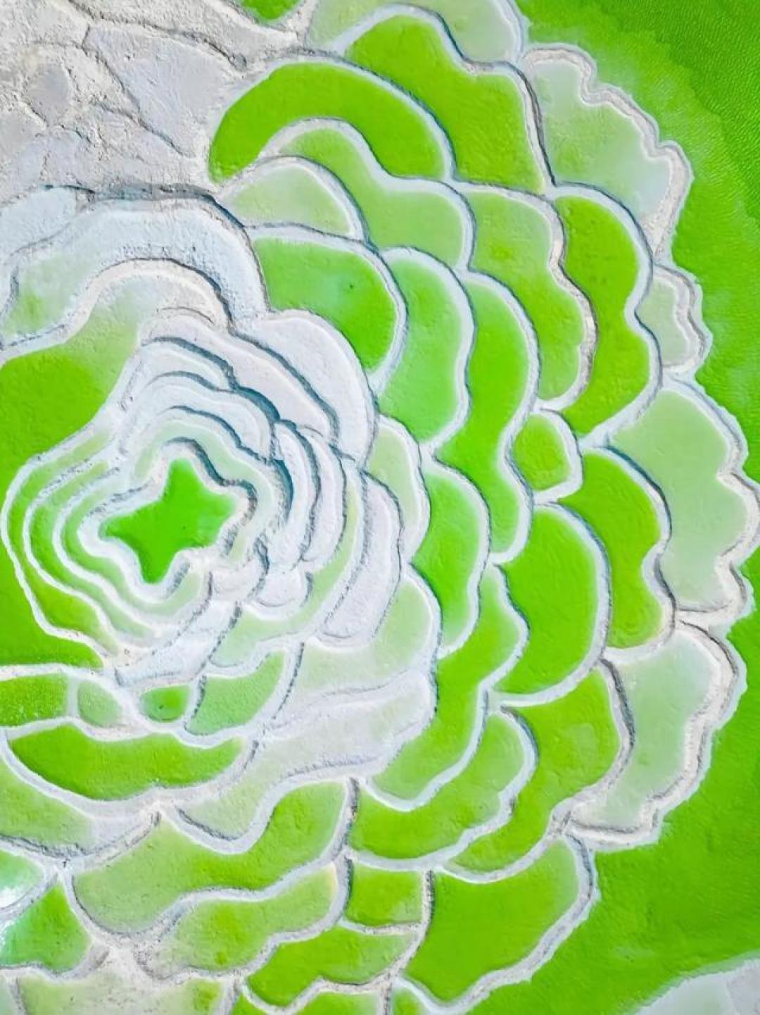 青苹果汁奇境：察尔汗盐湖亿年盐晶如何勾勒流动碧波调色盘
