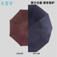 天堂伞超大号全钢十骨三人折叠伞：晴雨无忧的贴心之选