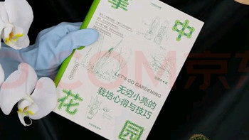 新手种花指南：从阳台到庭院