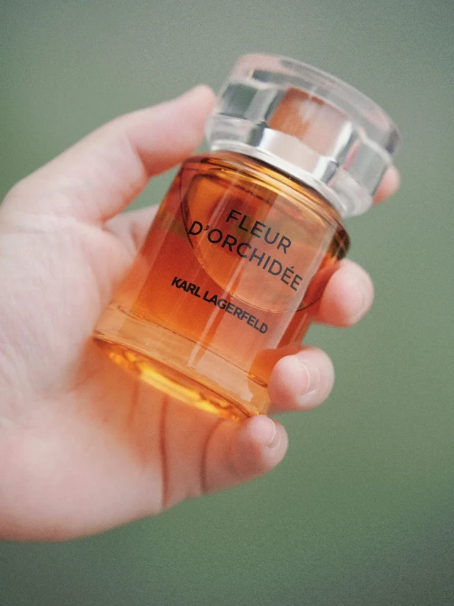 🍊厌糖党狂喜，这才是高级玩家的夏日体香