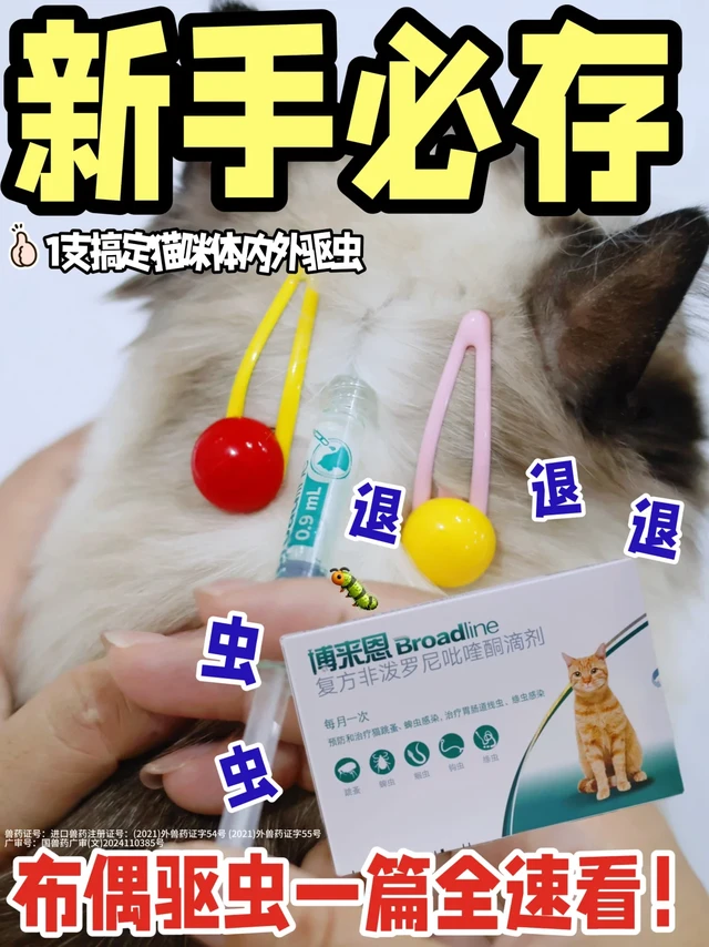 新手必存！布偶驱虫一篇全速看！