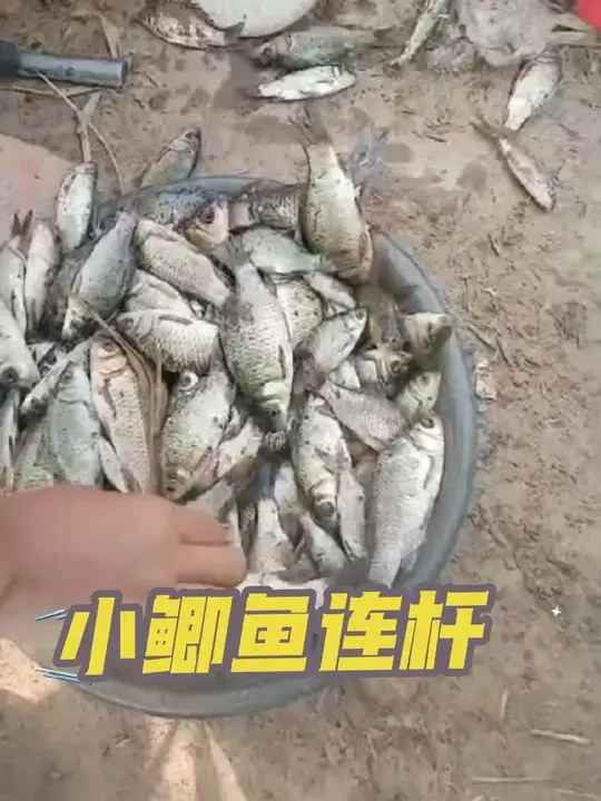 #汉鼎一号六代 #汉鼎真材实料放心入 #野钓