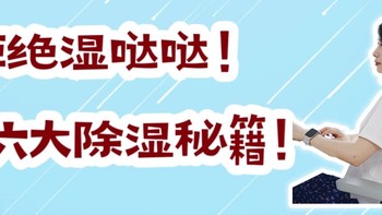 拒绝湿哒哒！梅雨季居家六大除湿妙招 让我活出干燥体面