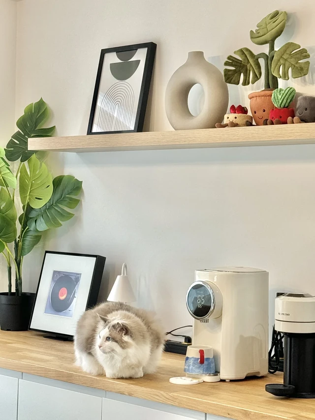 🇨🇦DIY打造高颜值IKEA餐边柜
