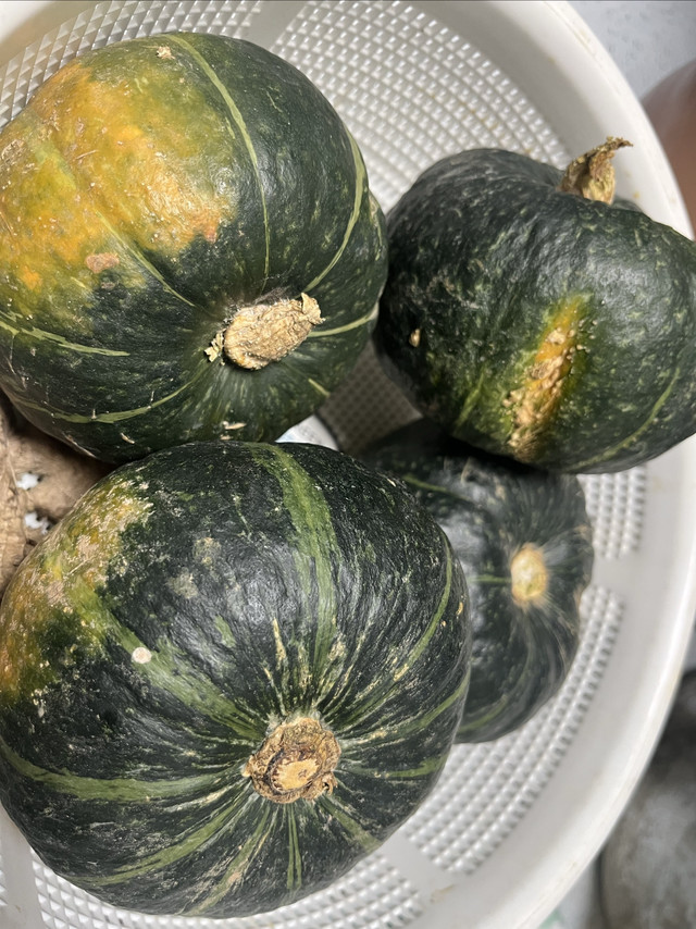 吃不完的南瓜，做南瓜饼吧