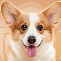 幼犬的心头好：疯狂小狗冻干夹心狗粮