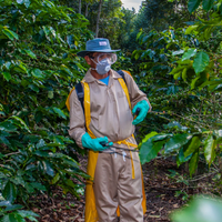 从种植到烘焙，咖啡农药残留的关键真相