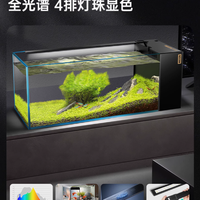 🐠颜值与实力并存！BESSN 血脉觉醒侧滤鱼缸深度测评
