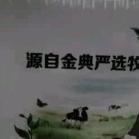 解锁健康密码,伊利金典有机纯牛奶来袭
