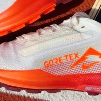 跑步界的多面手：Nike REACTX PEGASUS TRAIL 5 Gore-Tex