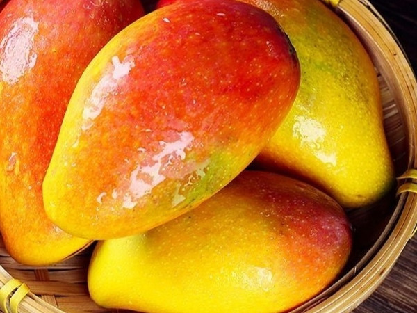 5斤海南贵妃芒果新鲜水果应季大芒果现摘红金龙小贵妃