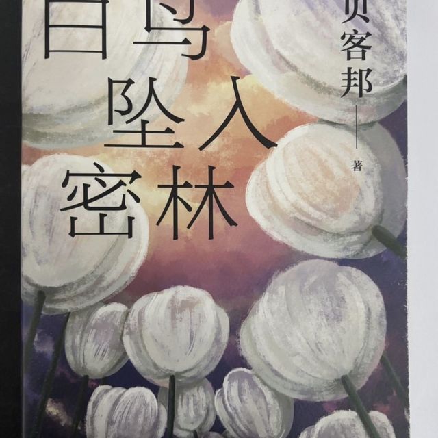 全员0恶人，这本小说有何特别？