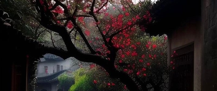 小新平板12.1发布：多彩选择，书写未来