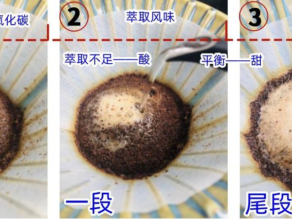 为什么有人喝咖啡能尝出花果香，但我只能尝到苦味？