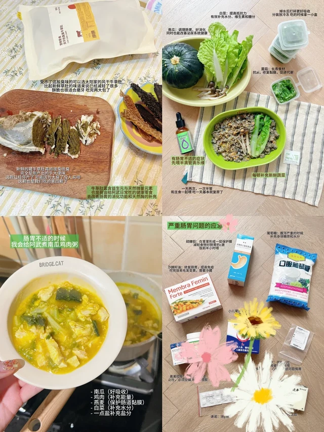 养玻璃胃小狗第四年 🥣 肠胃问题预防&应急