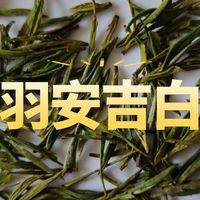 嫩香、鲜甜、回甘：芳羽精品级安吉白茶测评