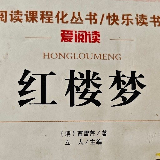 孩子读《红楼梦》：读懂与否的思考