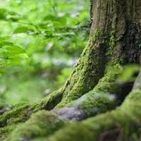 退休时间计算器，精准预测养老时间