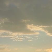 高质量男生Polo衫，你入手了吗？