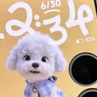 Xiaomi MIX Flip2：折叠屏手机的新体验
