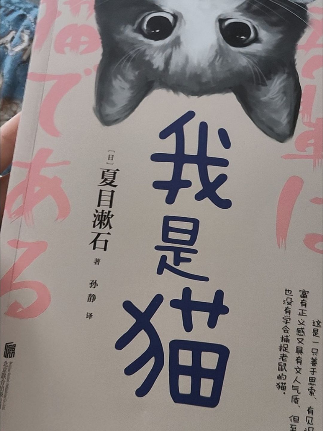 我是猫阅读原著正版夏目漱石小说初中生课外书完整版世界文学名著