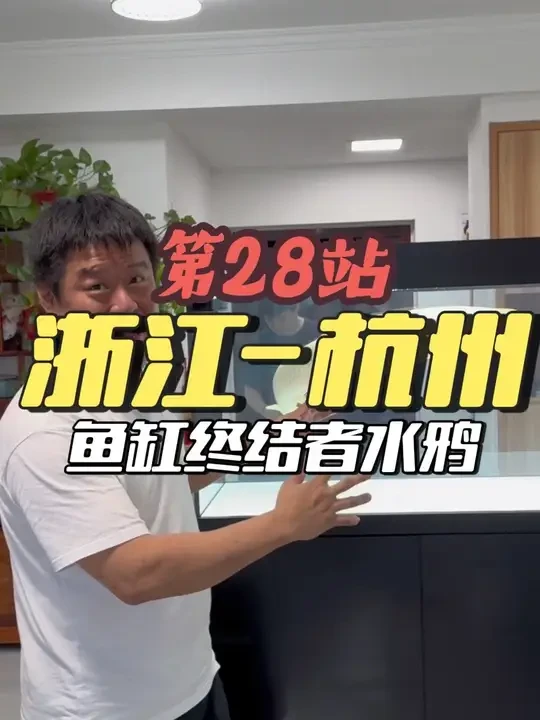 浙江-杭州 鱼缸界的终结者、水鸦鱼缸#即开缸即入鱼 #水鸦鱼缸 #杭州