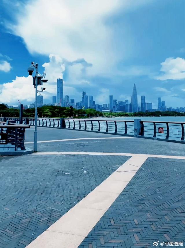 🚲解锁深圳最美海岸线｜这份骑行攻略请收好！ 🚴♀️【路线怎么选？东段VS西段各有风情】深圳湾公园的骑行路线藏着两种风景，东段看生态，西段追城市与日落—— - 【东段】从红树林海滨生态园出发，经中湾阅海