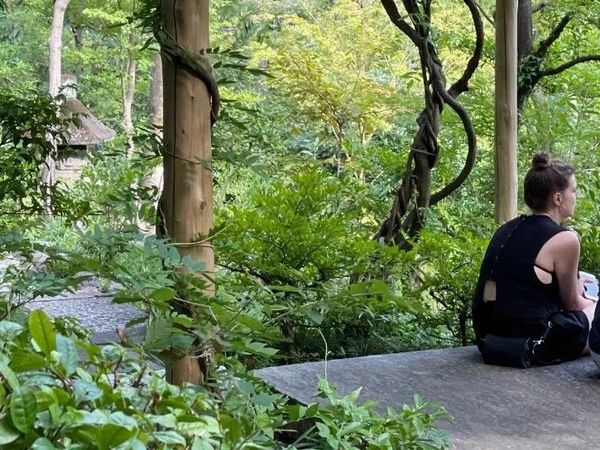 东京之旅实用指南 | 9天8晚，从美食、艺术、购物等说起