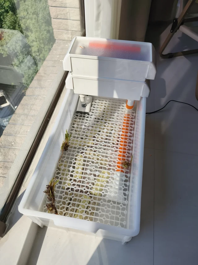 百元搞定❗️自制中转箱龟缸+自动上下水