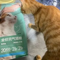 网易严选优质深海食材宠爱相伴全价元气猫粮海洋鱼 