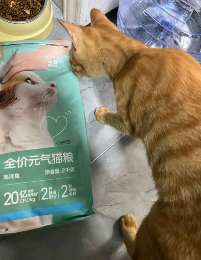 网易严选猫咪干粮