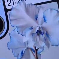 小米MIX Flip 2耐用性测试